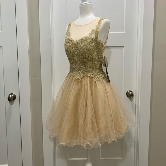 Mesh embroidered beaded Lace Short Ruffled  Dress - Picture 4 of 14